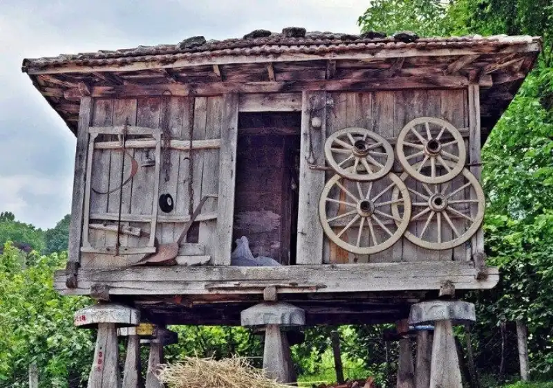 Rize Naylaları