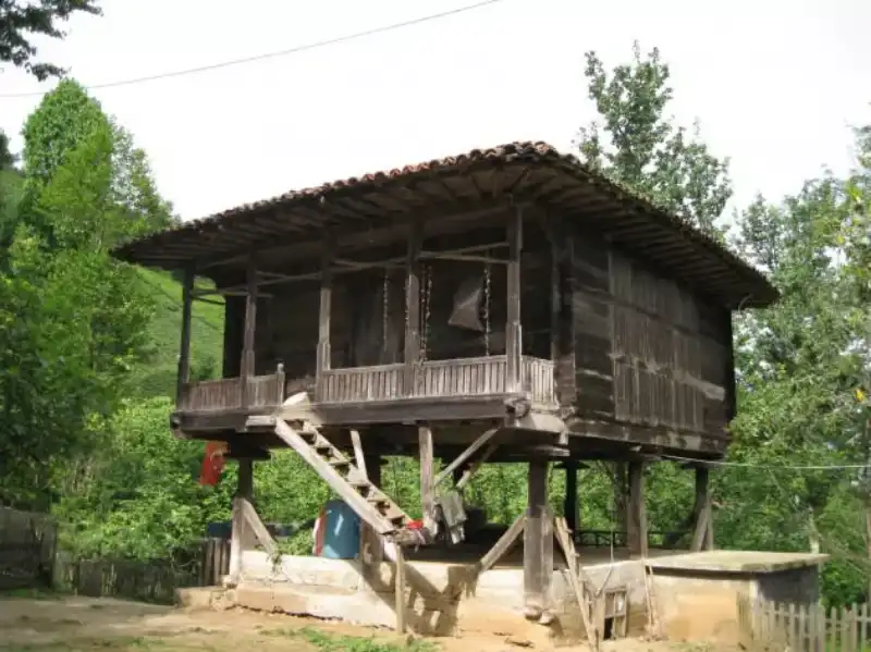 Rize Naylaları